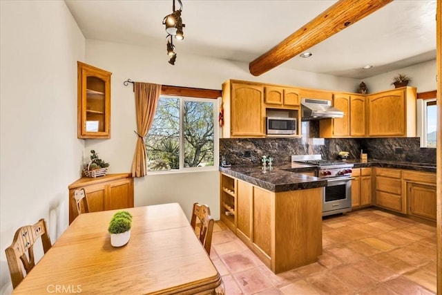 57710 Bandera Rd, Yucca Valley, CA 92284 - kitchen featuring under cabinet range hood, a wealth of natural light, appliances with stainless steel finishes, and tasteful backsplash