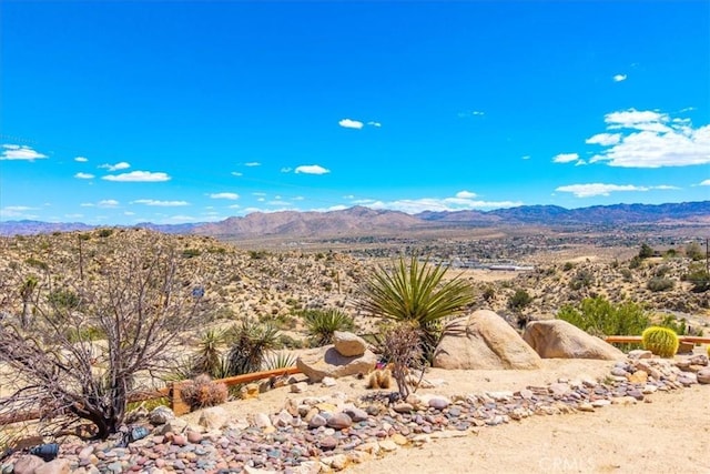 57710 Bandera Rd, Yucca Valley, CA 92284 - photo 29