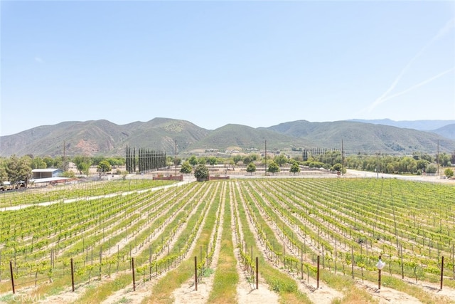 37028 De Portola Rd, Temecula, CA 92592 - photo 67