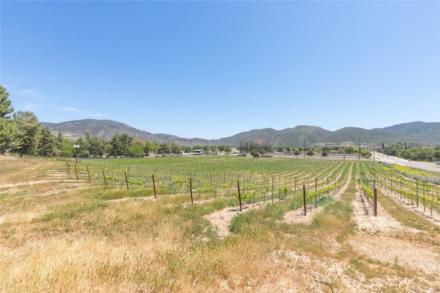37028 De Portola Rd, Temecula, CA 92592 - photo 66