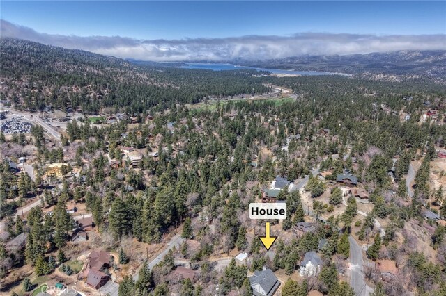 1218 Bow Canyon Ct, Big Bear Lake, CA 92315 - photo 3