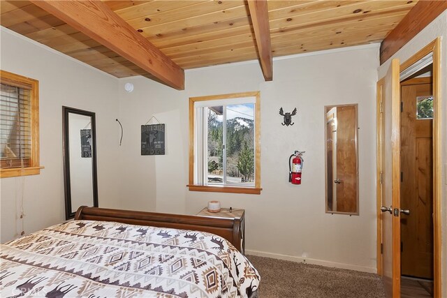 1218 Bow Canyon Ct, Big Bear Lake, CA 92315 - photo 15