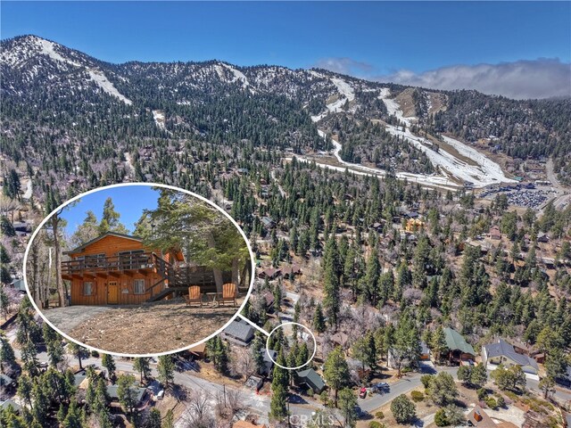 1218 Bow Canyon Ct, Big Bear Lake, CA 92315 - photo 2