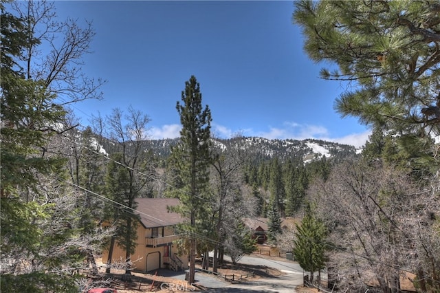 1218 Bow Canyon Ct, Big Bear Lake, CA 92315 - photo 31