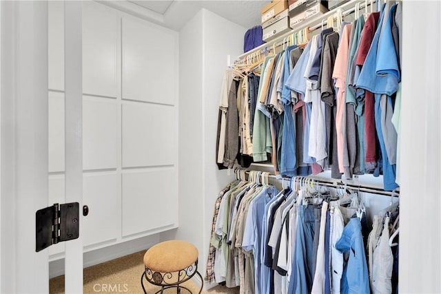 view of walk in closet