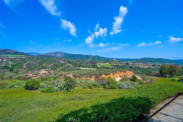 21672 High Country Dr, Rancho Santa Margarita, CA 92679 - photo 39