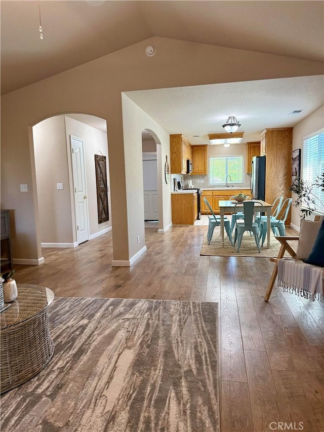 living area featuring light wood-type flooring, a wealth of natural light, and arched walkways