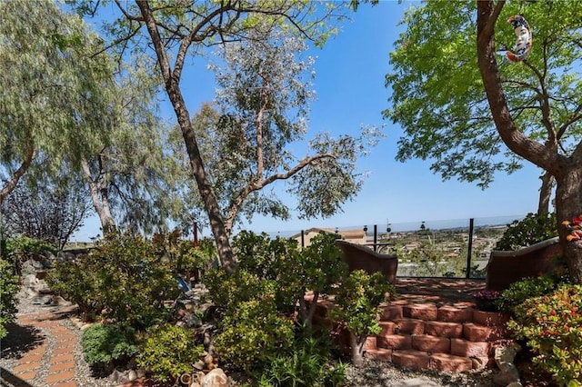 33228 Romance Pl, Temecula, CA 92592 - view of yard featuring a water view