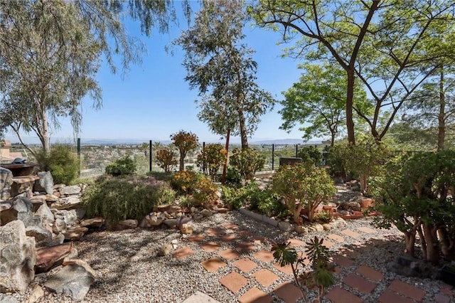 33228 Romance Pl, Temecula, CA 92592 - view of yard featuring fence