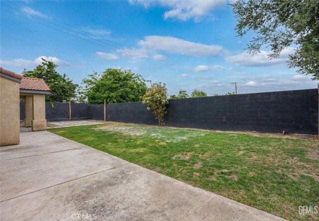 view of yard featuring a fenced backyard and a patio