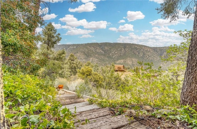 2116 Ironwood Ct, Pine Mountain Club, CA 93222 - property view of mountains