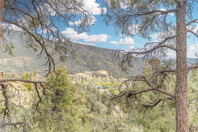 2116 Ironwood Ct, Pine Mountain Club, CA 93222 - property view of mountains
