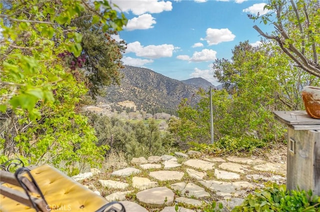 2116 Ironwood Ct, Pine Mountain Club, CA 93222 - property view of mountains