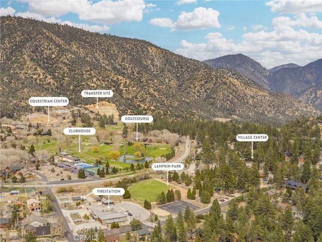 2116 Ironwood Ct, Pine Mountain Club, CA 93222 - map location