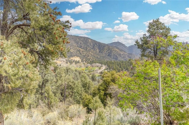 2116 Ironwood Ct, Pine Mountain Club, CA 93222 - mountain view with a view of trees