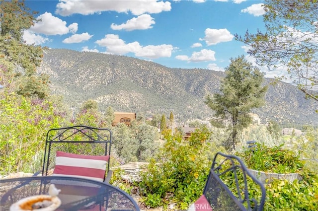 2116 Ironwood Ct, Pine Mountain Club, CA 93222 - mountain view