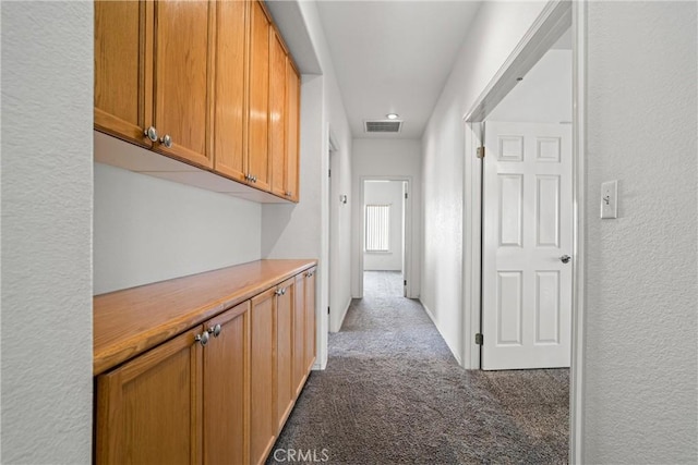 6244 Sunset Canyon Ct, Lancaster, CA 93536 - hall with carpet floors and a textured wall