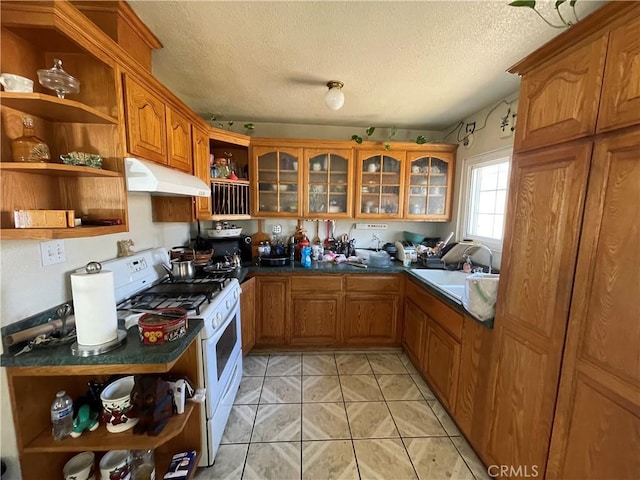kitchen with under cabinet range hood, open shelves, and gas range gas stove