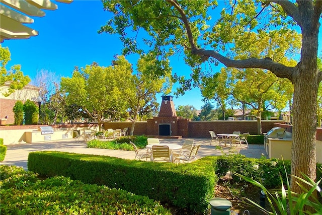 15688 Portenza Dr, Fontana, CA 92336 - view of yard featuring exterior fireplace, area for grilling, and a patio area