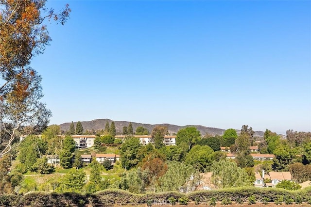 mountain view