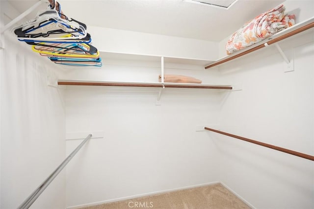 walk in closet featuring carpet flooring