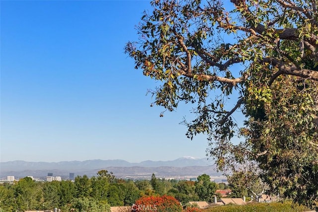 view of mountain feature