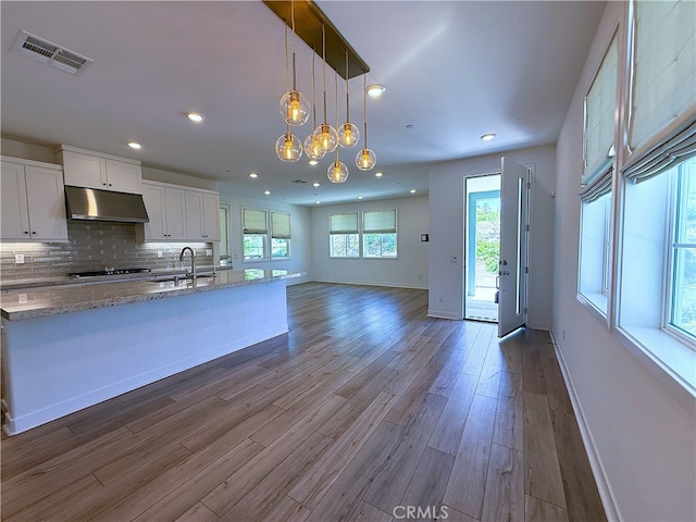 27078 Painted Sky Way, Valencia, CA 91381 - kitchen with under cabinet range hood, tasteful backsplash, dark wood finished floors, white cabinetry, and open floor plan