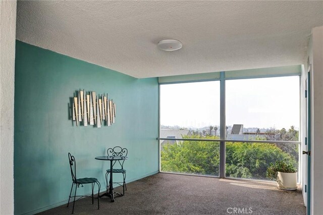 4343 Finley Ave Unit 35, Los Angeles, CA 90027 - carpeted empty room featuring a textured ceiling