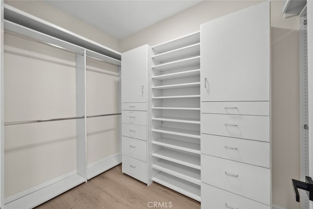 walk in closet with light wood-type flooring