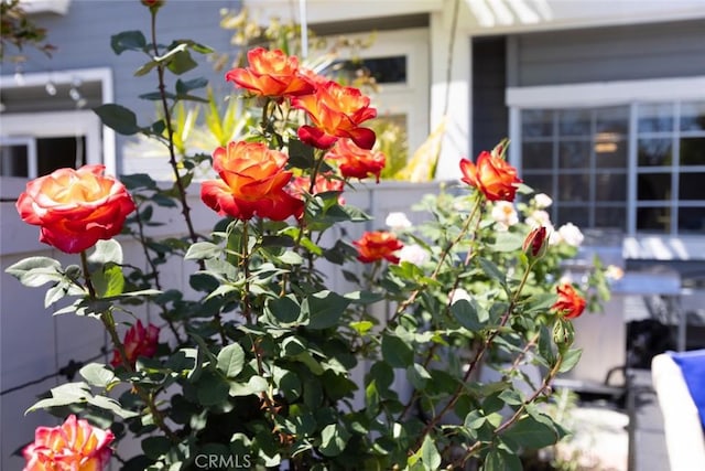 2196 Evergreen Dr, Tustin, CA 92782 - exterior view