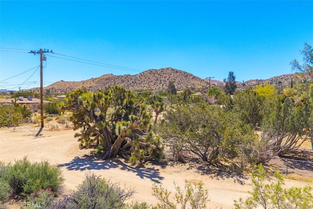 7890 Mariposa Trl, Yucca Valley, CA 92284 - mountain view