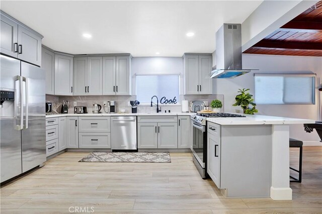 kitchen with gray cabinetry, island exhaust hood, a sink, and appliances with stainless steel finishes