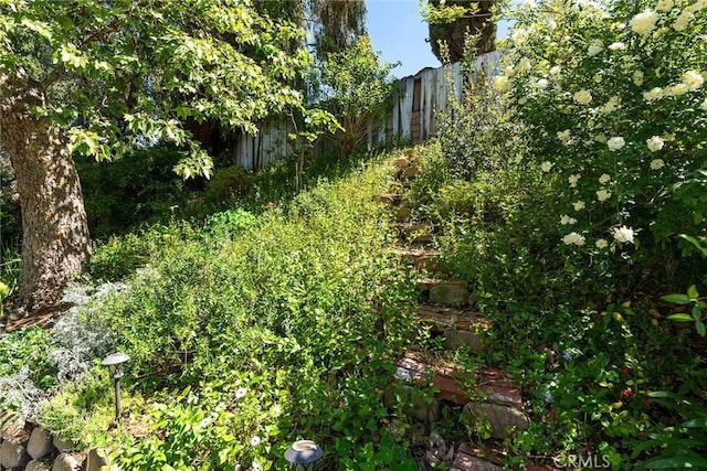 19852 Pandy Ct, Canyon Country, CA 91351 - view of yard with fence