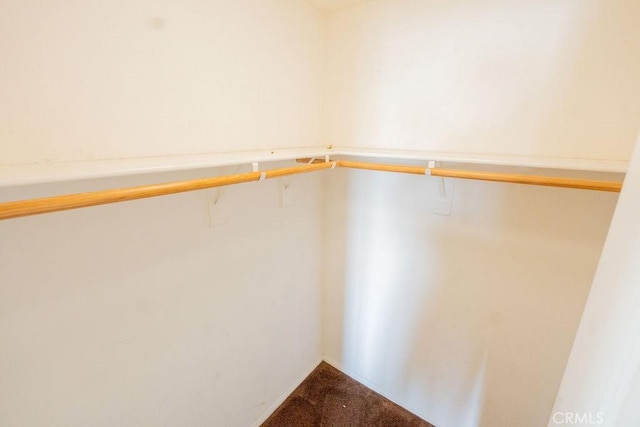spacious closet with carpet