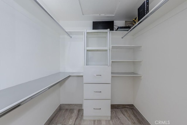 4738 E Fairfield St, Anaheim Hills, CA 92807 - spacious closet featuring light wood-style flooring