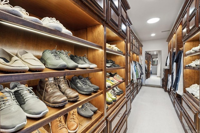 5955 Lake Vista Dr, Bonsall, CA 92003 - walk in closet with light colored carpet and visible vents