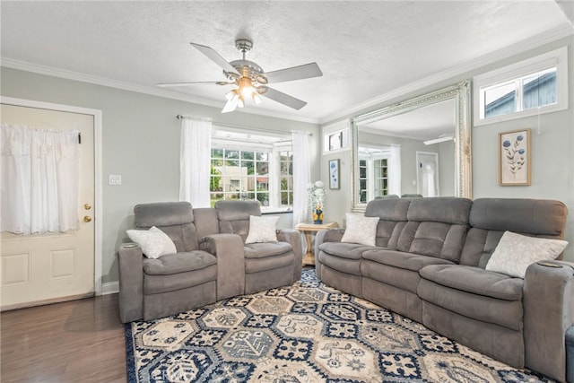 living area featuring ornamental molding, wood finished floors, baseboards, ceiling fan, and a textured ceiling