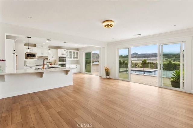 2836 Mesa Grove Rd, Fallbrook, CA 92028 - unfurnished living room with ornamental molding, light wood-style floors, and a mountain view