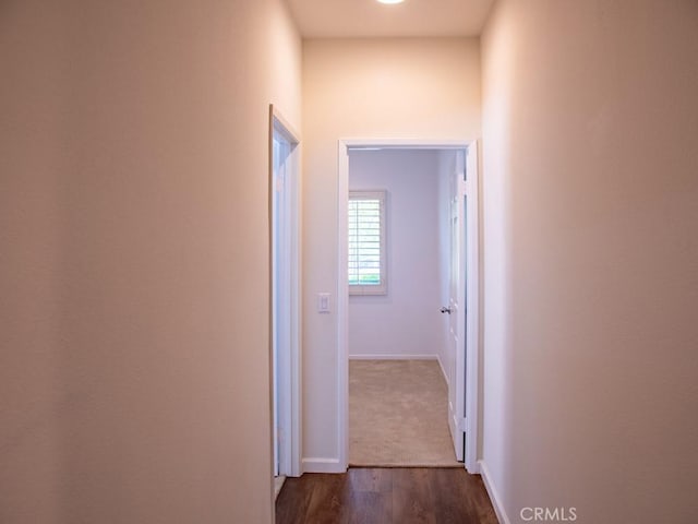 1334 Pinehurst Dr, Calimesa, CA 92320 - hallway with dark wood-type flooring and baseboards