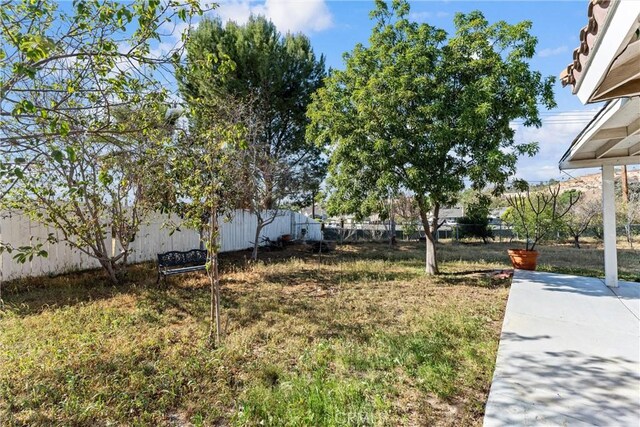 view of yard featuring a fenced backyard and a patio
