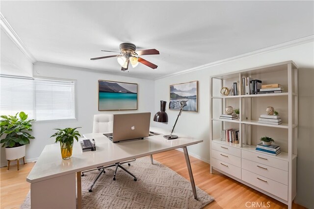 office with baseboards, ornamental molding, a ceiling fan, and light wood-style floors