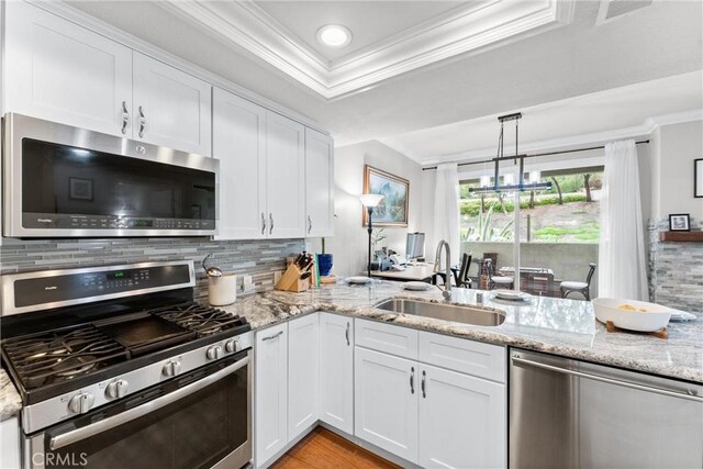 kitchen with white cabinets, stainless steel appliances, a tray ceiling, a sink, and crown molding