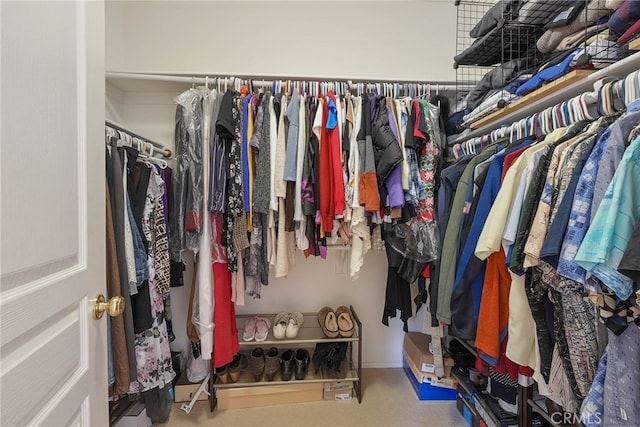 view of walk in closet
