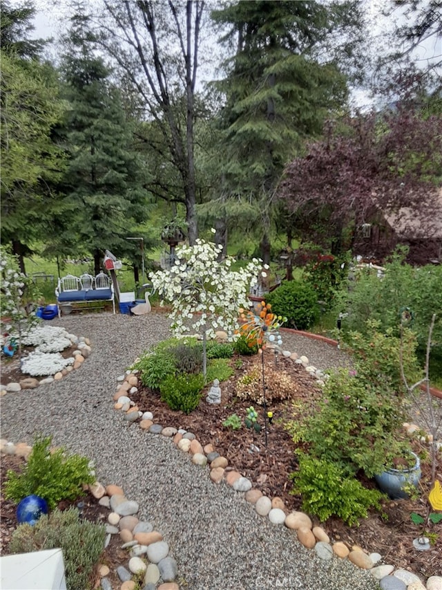 51192 Bon Veu Dr, Oakhurst, CA 93644 - view of yard