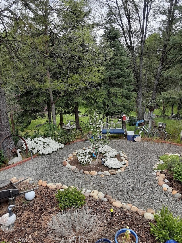 51192 Bon Veu Dr, Oakhurst, CA 93644 - view of yard
