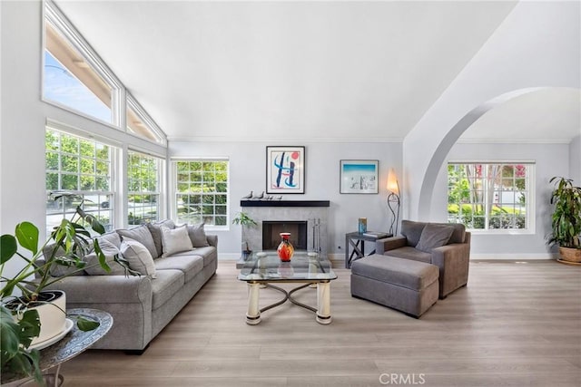 7701 Quimby Ave, West Hills, CA 91304 - living room featuring crown molding, arched walkways, wood finished floors, vaulted ceiling, and a fireplace