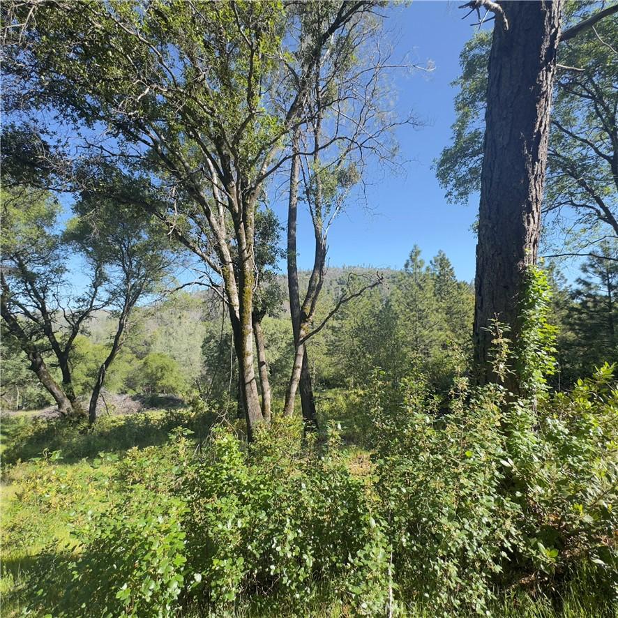 204 Empire Point Dr, Oroville, CA 95966 - photo 3