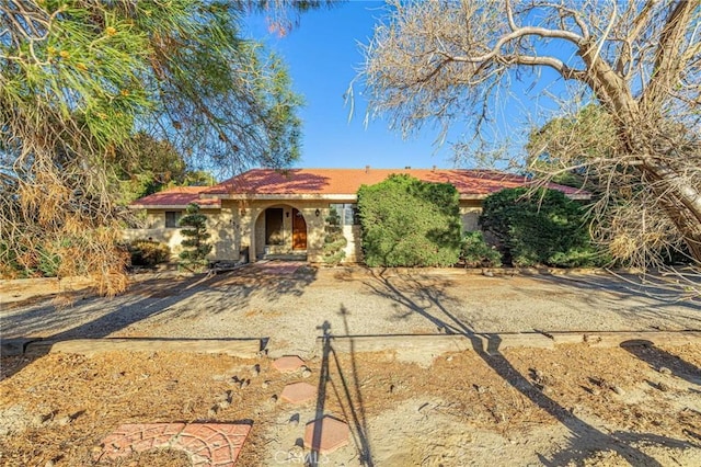 view of front of home with stucco siding