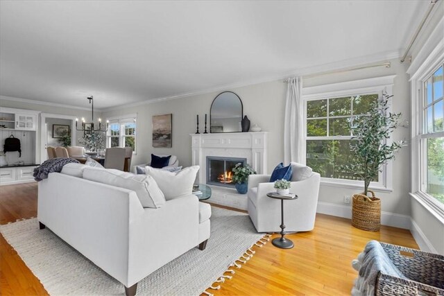living room with wood finished floors, ornamental molding, and a healthy amount of sunlight