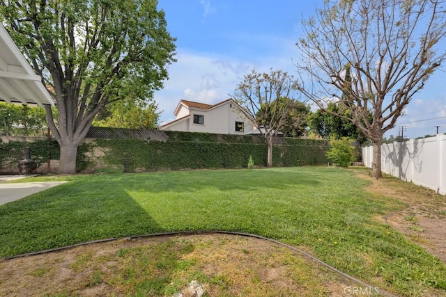 22724 Califa St, Woodland Hills, CA 91367 - view of yard